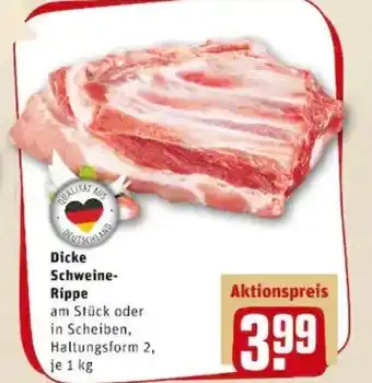 REWE PETZ Dicke Schweine Rippe 1kg Angebot