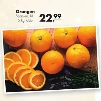 Handelshof Orangen 15 kg Angebot