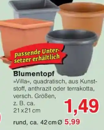 Jawoll Blumentopf Angebot