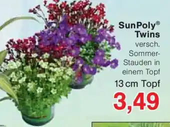 Jawoll SunPoly Twins Angebot