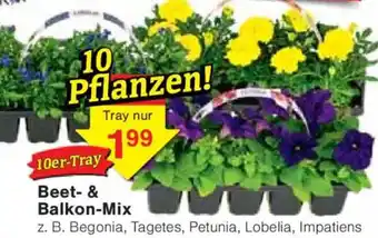 Jawoll Beet- & Balkon-Mix Angebot