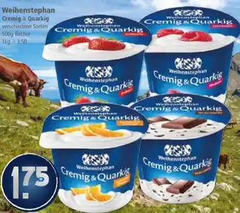 Klaas und Kock Weihenstephan Cremig & Quarkig Angebot