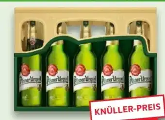 Kaufland Pilsner Urquell Pils Angebot