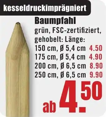 B1 Discount Baumarkt Baumpfahl Angebot