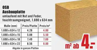 B1 Discount Baumarkt OSB Ausbauplatte Angebot