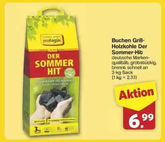 Famila Nord Ost Buchen Grill-Holzkohle Der Sommer-Hit Angebot