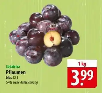 Famila Nord Ost Pflaumen Angebot