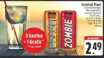 Edeka Cocktail Plant Angebot