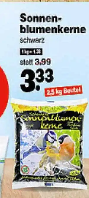 Repo Markt Sonnen Blumenkerne Angebot