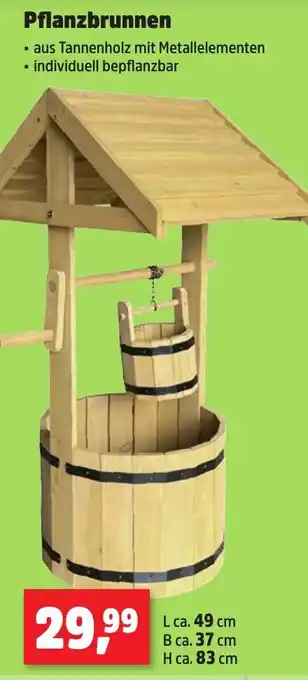 Thomas Philipps Pflanzbrunnen Angebot
