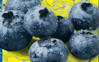 Lidl Heidelbeeren Angebot