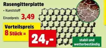 Thomas Philipps Rasengitterplatte Angebot