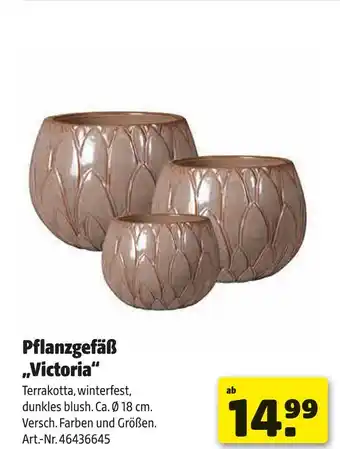 Hagebau Pflanzgefäß „victoria“ Angebot