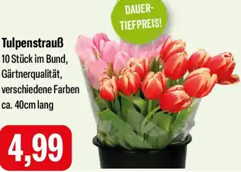 Feneberg Tulpenstrauß Angebot
