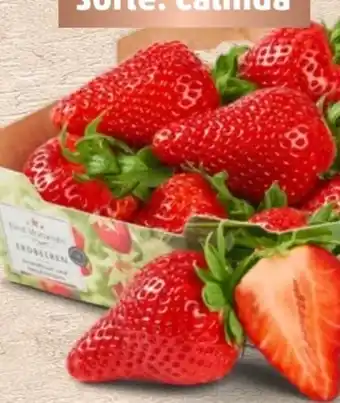 PENNY Best Moments Erdbeeren Calinda Angebot