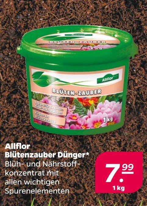 strelitzie welcher dünger Strelitzien-Dünger NPK 10-8-8