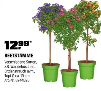OBI Beetstämme Angebot