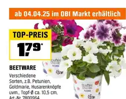 OBI Beetware Angebot