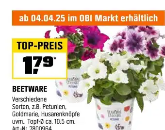 OBI Beetware Angebot