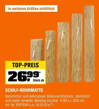 OBI Schilf-rohrmatte Angebot
