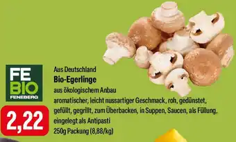 Feneberg Bio-Egerlinge Angebot