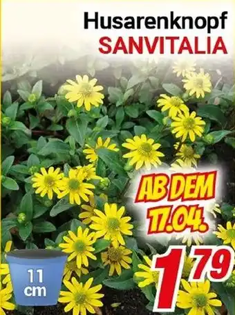 CENTERSHOP Husarenknopf SANVITALİA Angebot