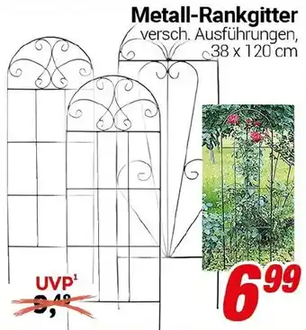 CENTERSHOP Metall-Rankgitter Angebot