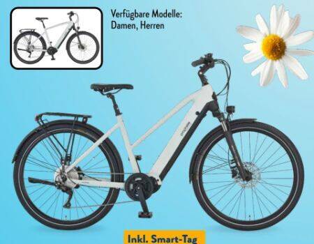 korb für fahrrad vorne Basil Bilbao Fahrradkorb vorne main image 1