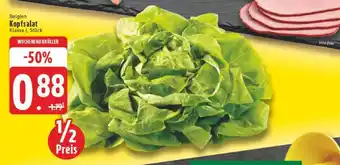 Edeka Belgien Kopfsalat Angebot