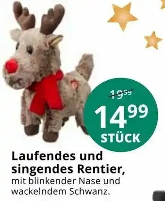 Hammer Laufendes und singendes Rentier Angebot