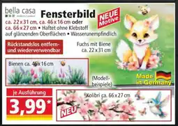 Norma Fensterbild Angebot