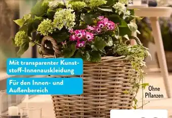 Aldi Süd Belavi Rattan-Pflanztopf Angebot
