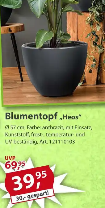 Sonderpreis Baumarkt Blumentopf,,Heos" Angebot