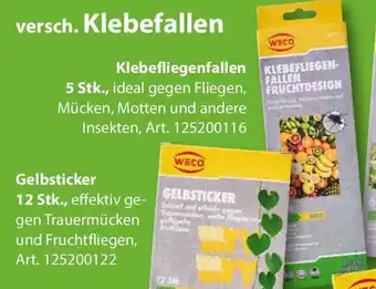 Sonderpreis Baumarkt WECO Klebefliegenfallen Angebot