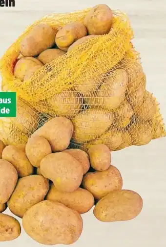 Thomas Philipps Speisekartoffeln Angebot