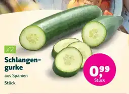 Biomarkt Schlangengurke Angebot