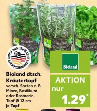 Kaufland Bioland dtsch. Kräutertopf Angebot