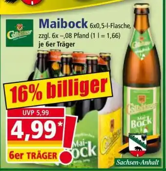 Norma Maibock Angebot