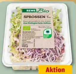 REWE Center Rewe Bio Sprossen Angebot