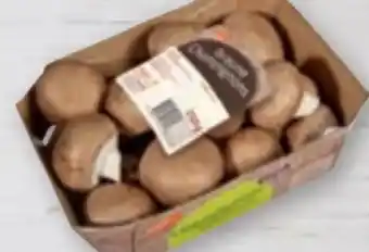 tegut tegut... Champignons Angebot
