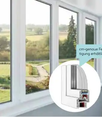 Hellweg Wärmeschutzfenster Angebot