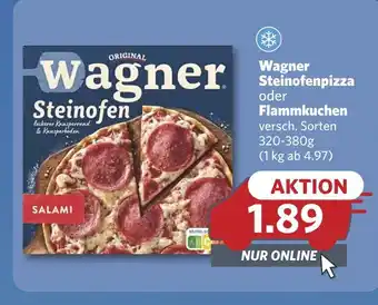 Combi Wagner steinofenpizza oder flammkuchen Angebot
