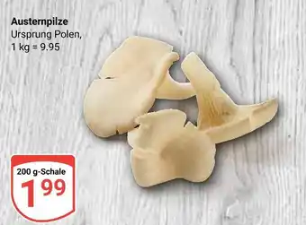 Globus Austernpilze Angebot