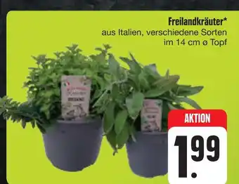 E-Center Freilandkräuter Angebot