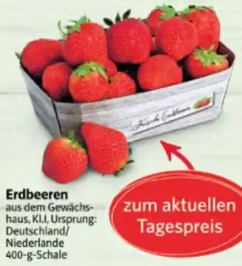 Markant Markt Erdbeeren Angebot
