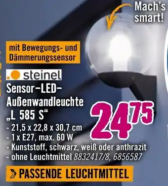 Hornbach Steinel Sensor-LED Außenwandleuchte L 585 S Angebot