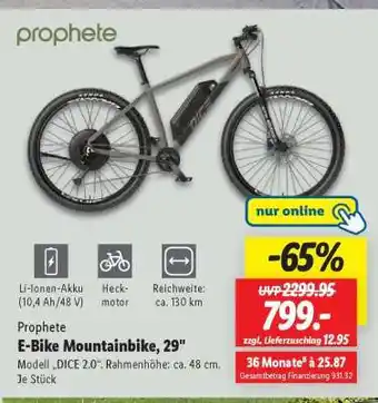 Lidl prophete E-Bike Mountainbike, 29 Angebot