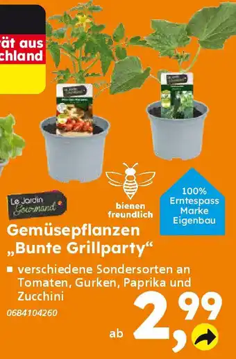 Globus Baumarkt Gemüsepflanzen „Bunte Grillparty" Angebot