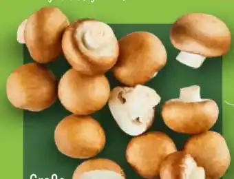 Aldi Nord Kulturchampignons Angebot