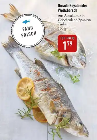 Galeria Markthalle Dorade Royale oder Wolfsbarsch Angebot